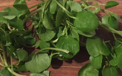Watercress and braces